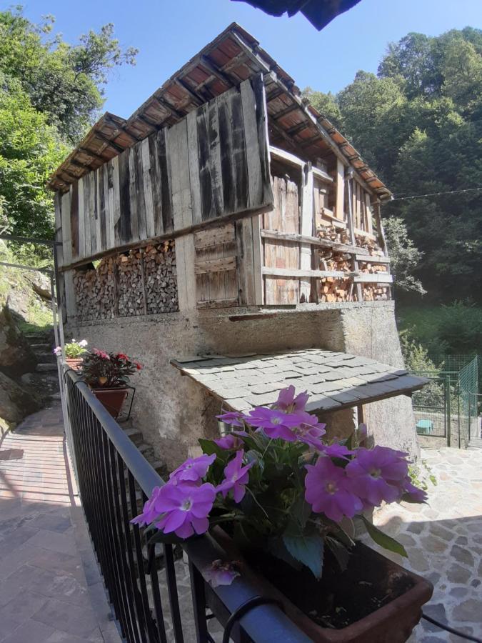 Bed and Breakfast Il Mulino Di Aurora Dosso del Liro Exterior foto