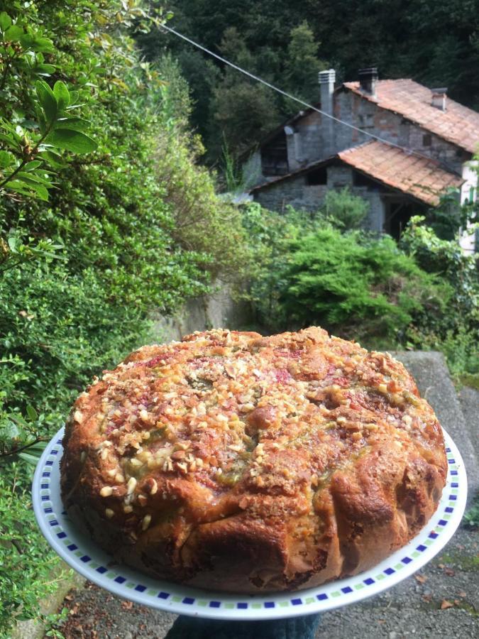 Bed and Breakfast Il Mulino Di Aurora Dosso del Liro Exterior foto